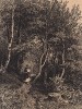 Березовый лесокъ. Литография И.И. Шишкина из его первого альбома "Этюды с натуры пером на камне", Санкт-Петербург, 1869.
