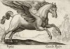 Пегас -- крылатый конь (лист из альбома Nova raccolta de li animali piu curiosi del mondo disegnati et intagliati da Antonio Tempesta... Рим. 1651 год)