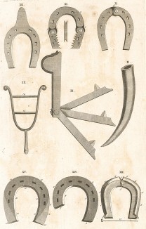 Инструменты для изготовления подков для лошадей. Из англоязычного издания бестселлера XVII-XVIII вв. A General System of Horsemanship in Аll It's Вranches герцога Ньюкасла, том I. Лондон, 1743