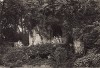 Версаль. Роща у "Ванны Аполлона". Фототипия из альбома Le Chateau de Versailles et les Trianons. Париж, 1900-е гг.