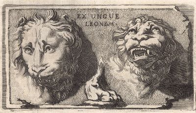 Виньетка "Ex Ungue Leonem" (Льва узнают по когтям).