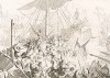 1647 год. Венецианский капитан Томазо Морозини в морском сражении с турками во время войны за остров Крит. Storia Veneta, л.125. Венеция, 1864