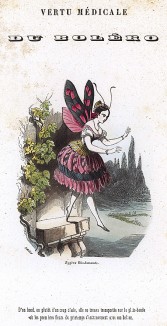 Таволговая пестрянка в костюме балерины. Les Papillons, métamorphoses terrestres des peuples de l'air par Amédée Varin. Париж, 1852