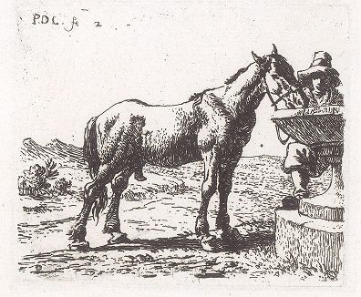 Лошадь, пьющая воду из фонтана. Лист № 2 из сюиты Питера ван Лара, посвященной лошадям. 