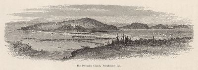 Вид на острова Поркьюпайн и французский берег, графство Хэнкок, штат Мэн. Лист из издания "Picturesque America", т.I, Нью-Йорк, 1872.