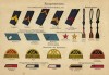 Знаки различия офицеров голландской армии (нарукавные знаки, аксельбанты и пр.)