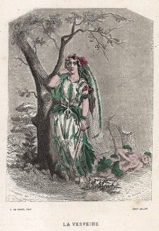 Леди Вербена, также известная как колдовское растение. Les Fleurs Animées par J.-J Grandville. Париж, 1847