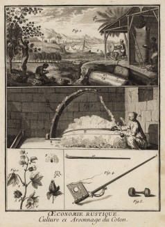 Сельское хозяйство. Культивация и обработка хлопка. (Ивердонская энциклопедия. Том I. Швейцария, 1775 год)