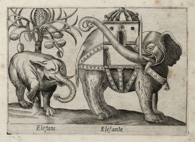 Слоны (лист из альбома Nova raccolta de li animali piu curiosi del mondo disegnati et intagliati da Antonio Tempesta... Рим. 1651 год)