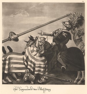 Из Freydal. Des Kaisers Maximilian I. Turniere und Mummereien (Репринт 1882 года. Вена. Лист 217)
