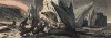 Животные полярных широт. Гравюра из издания книготорговца и типографа Маврикия Осиповича Вольфа "Мир в картинах". Санкт-Петербург, 1865