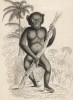 Шимпанзе (Troglodytes Niger (лат.)) (лист 1 тома II "Библиотеки натуралиста" Вильяма Жардина, изданного в Эдинбурге в 1833 году)