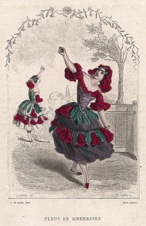 Танцующие цветы Граната. Les Fleurs Animées par J.-J Grandville. Париж, 1847