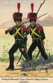 Гренадеры пехотного полка герцогства Нассау Великой армии Наполеона, принимавшего участие в Испанской кампании. Коллекция Роберта фон Арнольди. Германия, 1911-29