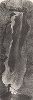 Теснина Альфа, самая узкая часть ущелья Уоткинс, штат Нью-Йорк. Лист из издания "Picturesque America", т.I, Нью-Йорк, 1872.