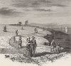 Прогулка вдоль обрыва, окрестности Ньюпорта, штат Род-Айленд. Лист из издания "Picturesque America", т.I, Нью-Йорк, 1872.