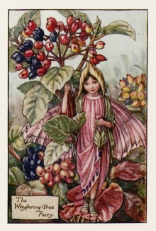 Осенние феи: фея ягод калины