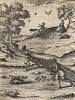 Ловля птиц сетью с собаками. Из первого (1622 г.) издания работы итальянского философа и натуралиста Джованни Пьетро Олины (1585-1645) Uccelliera overo discorso della natura, e proprieta di diversi uccelli…
