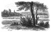 Август в Пруссии. Илл. Адольфа Менцеля. Geschichte Friedrichs des Grossen von Franz Kugler. Лейпциг, 1842, с.132