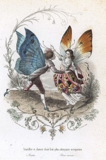 Кружащиеся в танце Морфо адонис и бабочка-белянка. Les Papillons, métamorphoses terrestres des peuples de l'air par Amédée Varin. Париж, 1852