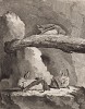 Иностранные (не французские) летучие мыши в натуральную величину (лист VII иллюстраций к четвёртому тому знаменитой "Естественной истории" графа де Бюффона, изданному в Париже в 1753 году)