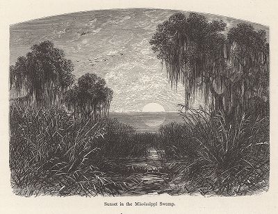 Закат на болотах в дельте реки Миссисипи. Лист из издания "Picturesque America", т.I, Нью-Йорк, 1872.