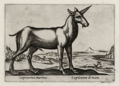 Морской единорог (лист из альбома Nova raccolta de li animali piu curiosi del mondo disegnati et intagliati da Antonio Tempesta... Рим. 1651 год)