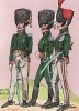 1806-12 гг. Тамбур-мажор 61-го пехотного полка Великой армии Наполеона. Коллекция Роберта фон Арнольди. Германия, 1911-29