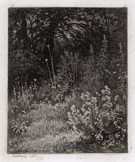 Офорт из альбома «25 гравюр на меди И.И.Шишкина». СПб., 1878