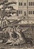 Среди лилий чувствую близость к божественному (из бестселлера XVII -- XVIII веков "Символы божественные и моральные и загадки жизни человека" Фрэнсиса Кварльса (лондонское издание 1788 года))