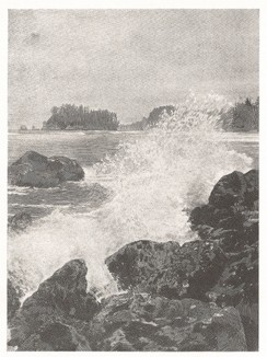 Небольшая бухта на побережье Тихого океана. Гравюра с фотографии Асаила Кертиса (1874-1941). 