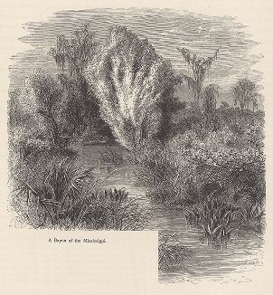 Болота в дельте реки Миссисипи. Лист из издания "Picturesque America", т.I, Нью-Йорк, 1872.