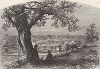 Вид на озеро Эри с холма Федерал-хилл, Баффало, штат Нью-Йорк. Лист из издания "Picturesque America", т.I, Нью-Йорк, 1872.