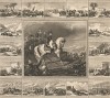 Наполеон I в сражении при Аустерлице 2 декабря 1805 г. и 16 картушей с изображениями самых знаменитых битв императора Франции. Выполнил Эмиль Руарг с оригиналов разных художников. Париж, 1850-е гг.