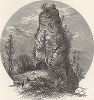 Восточная сторона скалы Сахарная Голова, остров Макино, озеро Мичиган, штат Мичиган. Лист из издания "Picturesque America", т.I, Нью-Йорк, 1872.
