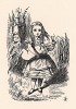 Алиса уже начала подумывать о том, что с ним делать, когда она вернётся домой (иллюстрация Джона Тенниела к книге Льюиса Кэрролла «Алиса в Стране Чудес», выпущенной в Лондоне в 1870 году)