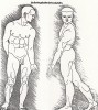 Книга II. "Фигура мужчины в повороте" (из "Четырёх книг о человеческих пропорциях" Альбрехта Дюрера)