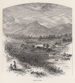 Три вершины Оттер, горный кряж Голубые горы, штат Вирджиния. Лист из издания "Picturesque America", т.I, Нью-Йорк, 1872.
