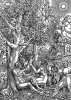 Адам и Ева в раю. Гравировал Эрхард Альтдорфер для Niederdeutche Bibel / nach Luther. Издание Людвига Дитца. Любек, 1533. Репринт 1929 г.