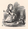 "Снежинка, милая!" -- сказала она, поглядывая на Снежинку (иллюстрация Джона Тенниела к книге Льюиса Кэрролла «Алиса в Зазеркалье», выпущенной в Лондоне в 1870 году)
