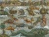 Морские чудовища и странные звери. Meerwunder und seltsame Thier... Лист из "Космографии" Себастиана Мюнстера (1489-1552) - "немецкого Страбона". Базель, 1552