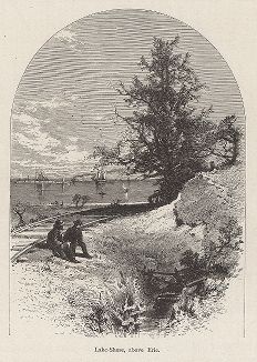 Побережье озера Эри. Лист из издания "Picturesque America", т.I, Нью-Йорк, 1872.