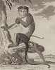 Цейлонский, или китайский макак. Лист XXX иллюстраций к четырнадцатому тому знаменитой "Естественной истории" графа де Бюффона. Париж, 1766