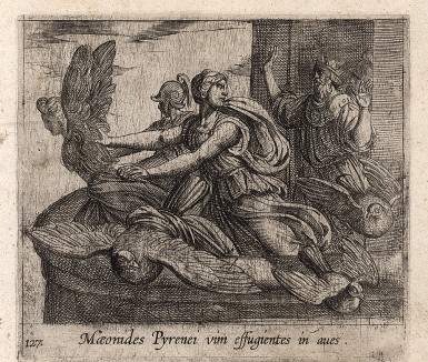 Дочери Ания Спермо, Элаида и Эно превращаются в птиц. Гравировал Антонио Темпеста для своей знаменитой серии "Метаморфозы" Овидия, л.127. Амстердам, 1606