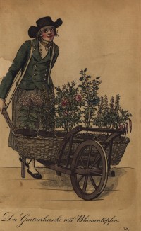 Зелёный и румяный садовник с горшками герани и роз