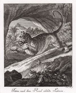 Хищник в прыжке. Гравюра Иоганна Элиаса Ридингера из Entwurff Einiger Thiere ..., Аугсбург, 1738. 