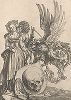 Герб с черепом. Гравюра Альбрехта Дюрера, выполненная ок. 1503 года (Репринт 1928 года. Лейпциг)