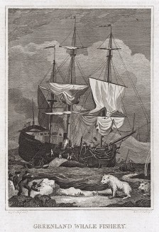 Охота на кита в Гренландии. Лондон, 1812