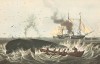 Охота на китов в Южном море. Репринт середины XX века со старинной английской гравюры
