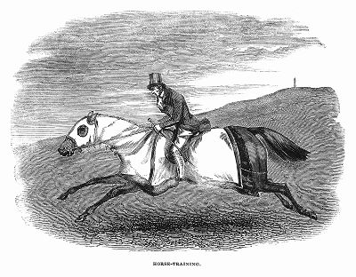Тренировка лошади перед популярными в Великобритании скачками, которую предварительно очень тепло одевают (The Illustrated London News №104 от 27/04/1844 г.)